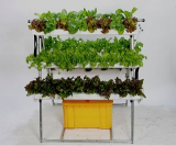 Hydroponic Systems for Rooftop